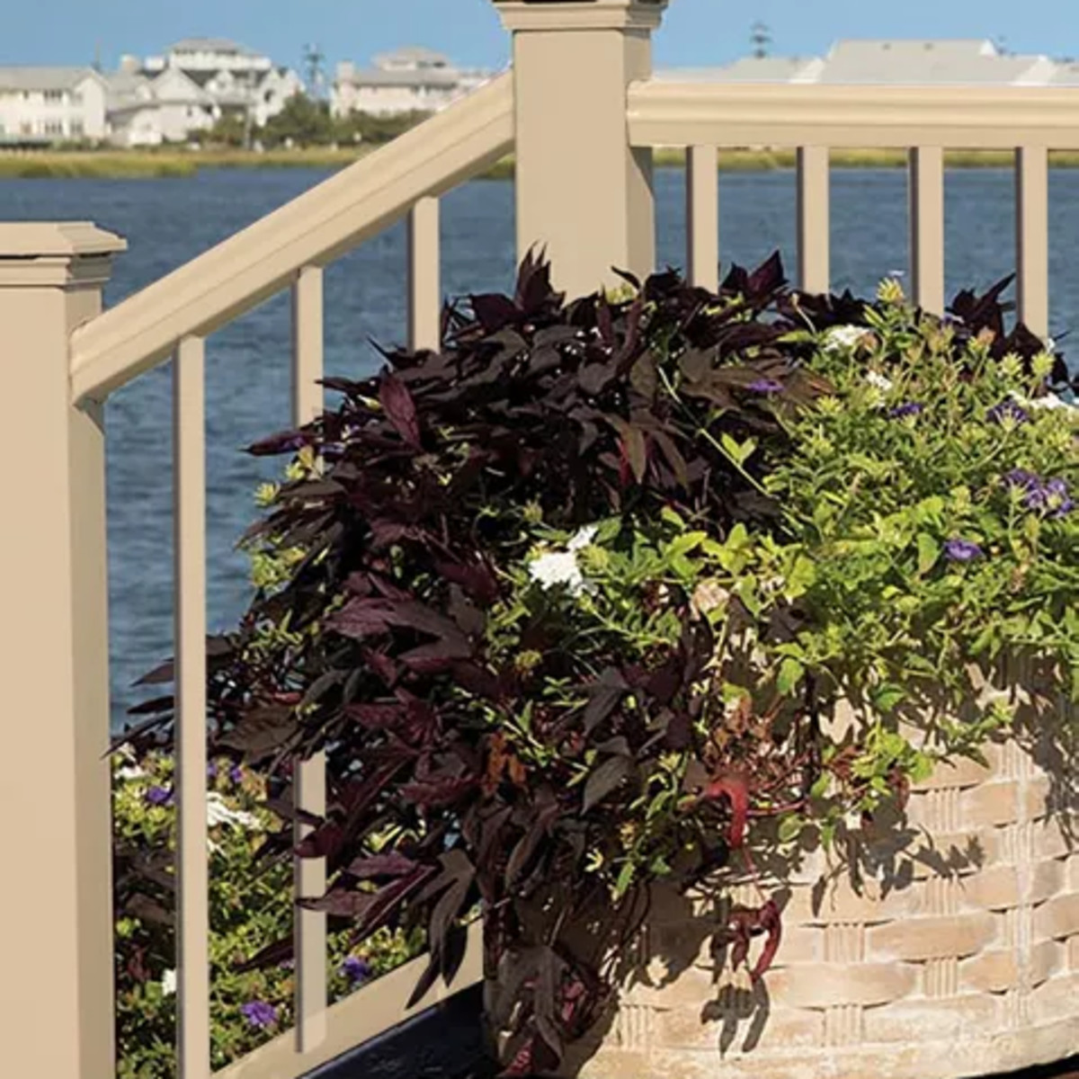 Main 15 - 6-ft Transcend® Universal Top or Bottom Rail  - Classic White Full Span - Arlington Coal & Lumber