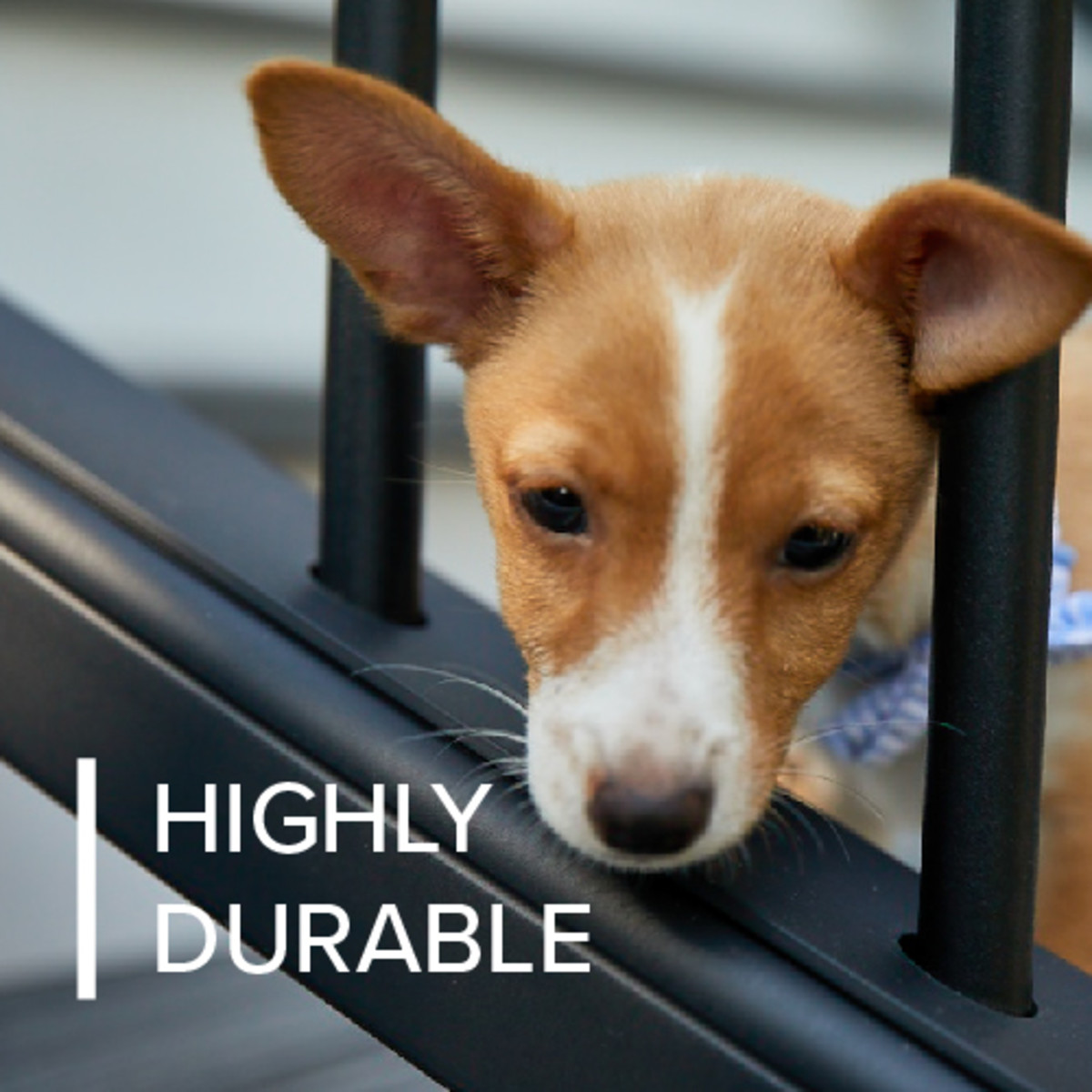 Main 20 - 6-ft x 36-in Transcend Horizontal Rail Kit with Composite Balusters - Charcoal Black Full Span - Arlington Coal & Lumber